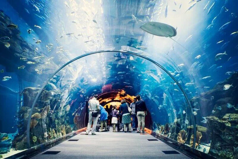 Burj-Khaleefa-with-Aquarium-tickets-3