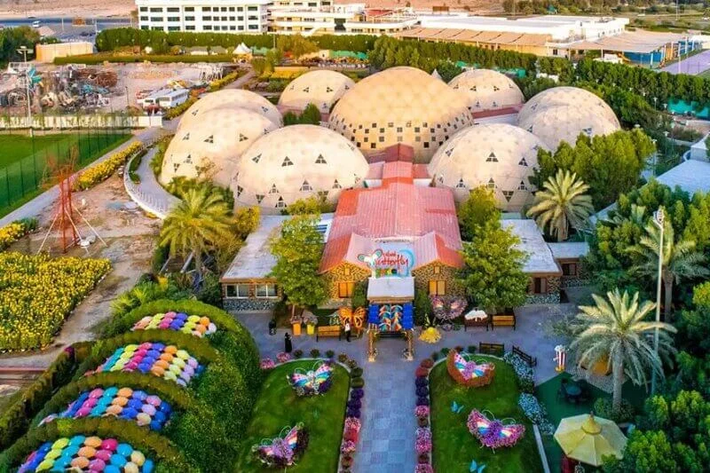 Butterfly-Garden-Dubai-1
