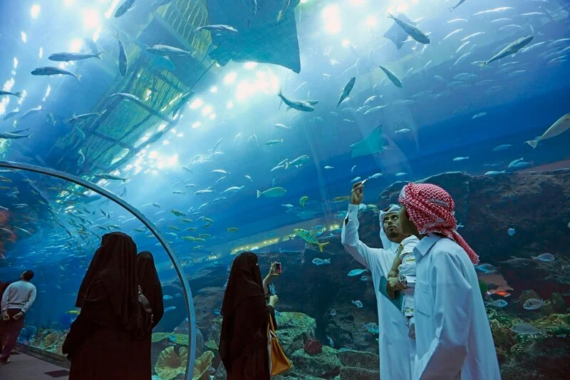 Dubai-Mall-Aquarium-and-Under-water-zoo-basic-2