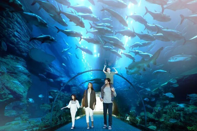 Dubai-Mall-Aquarium-and-Under-water-zoo-basic-4