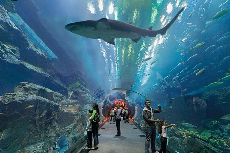 Dubai-Mall-Aquarium-and-Under-water-zoo-basic-5