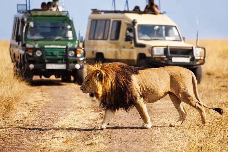 Dubai-Safari-Park-2