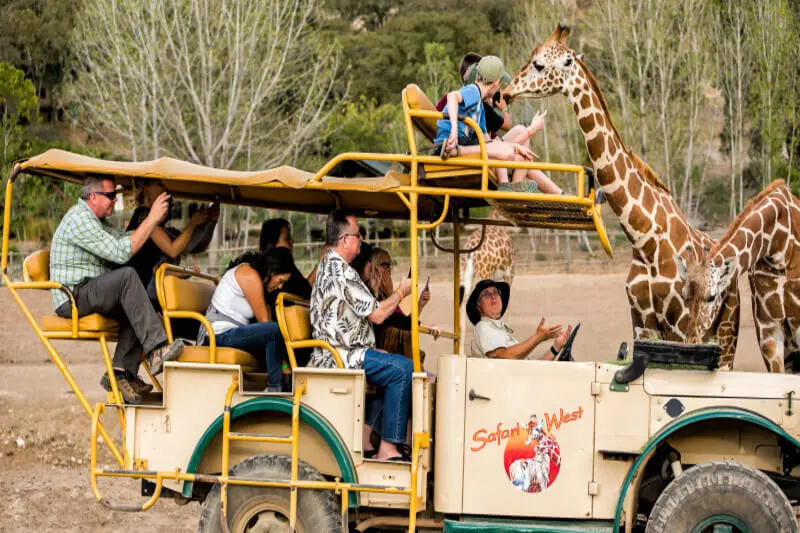 Dubai-Safari-Park-4
