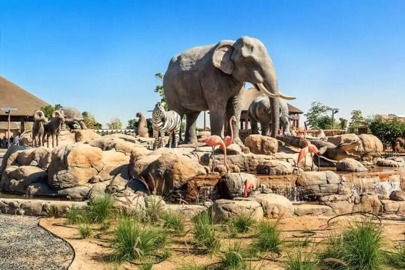 Dubai-Safari-Park-5