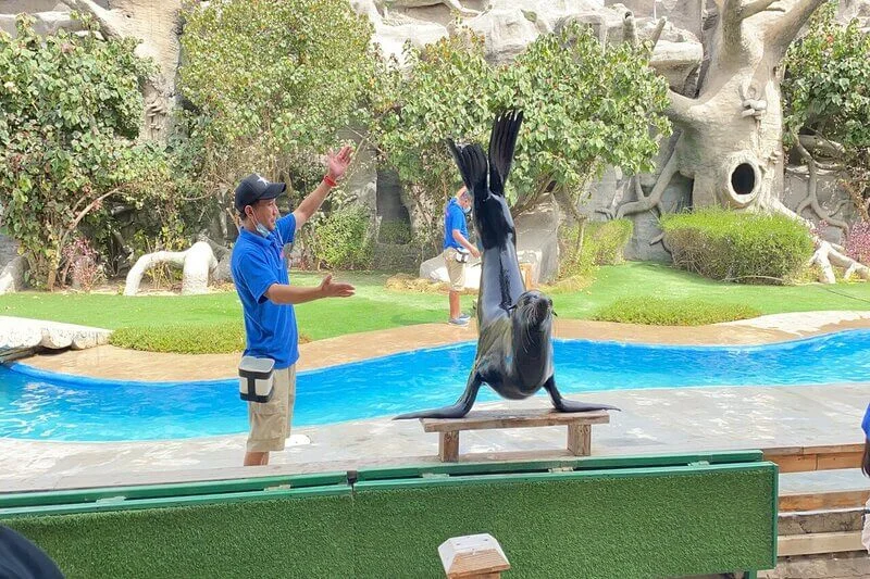 Emirates-Park-Zoo-3