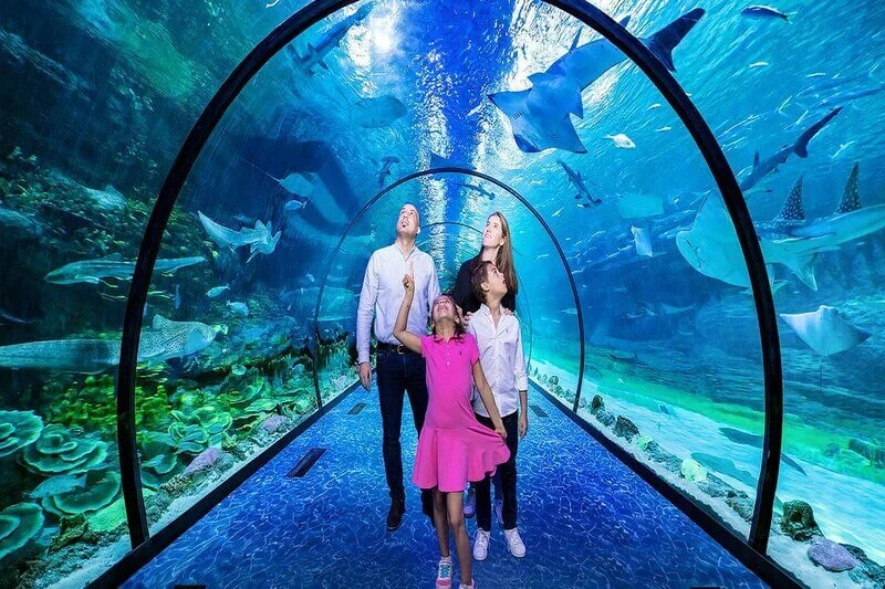 the-national-aquarium