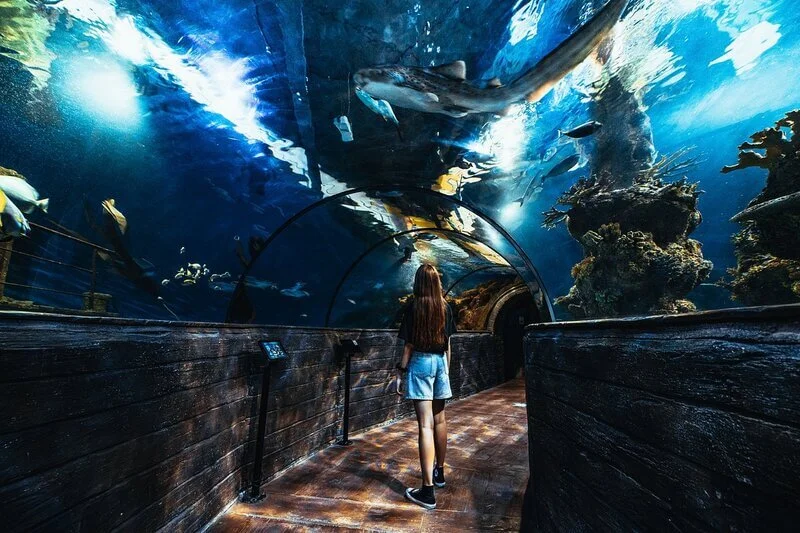 the-underwater-tunnel